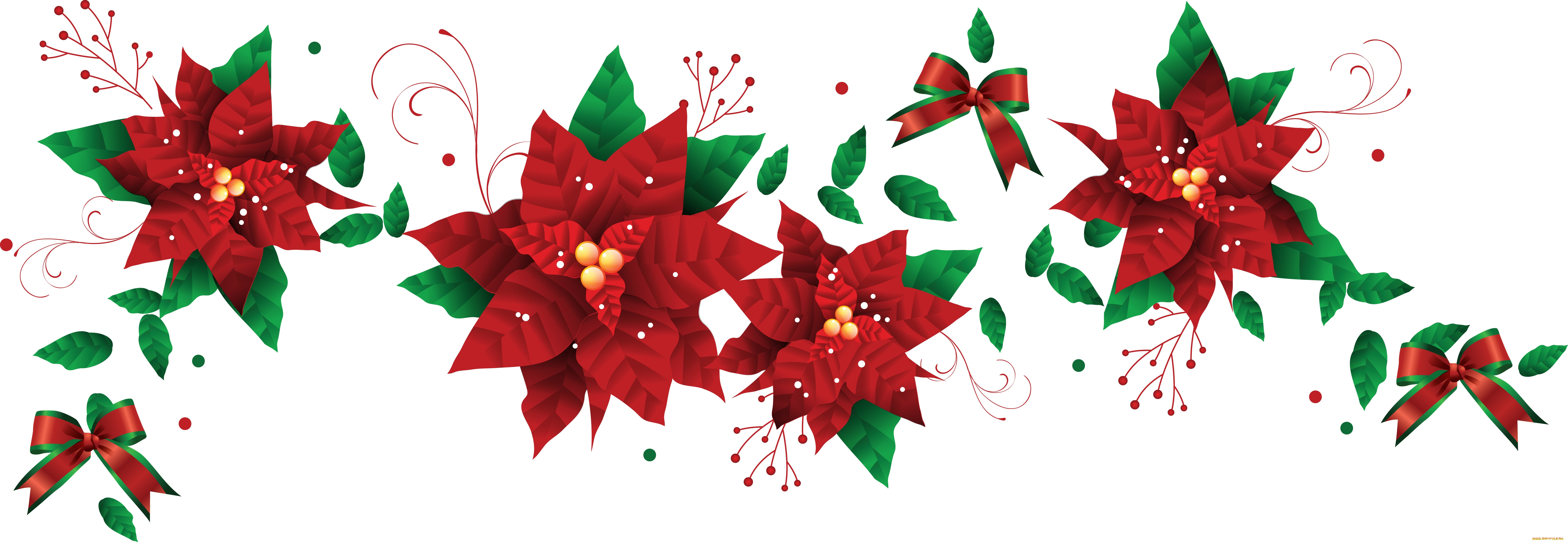  ,  , flowers, , , 